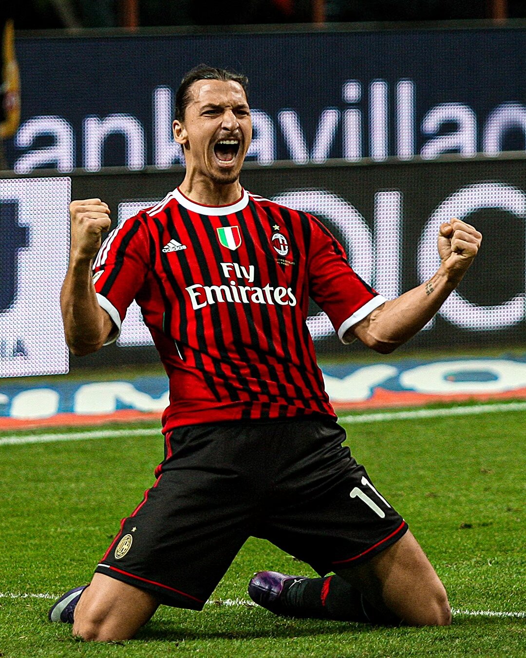 在风声鹤唳 在风声鹤唳